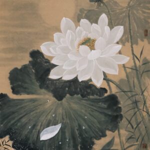 Sen